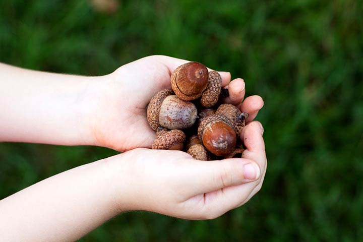 Rolling acorn painting activity for toddlers