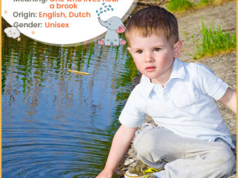 Brooklyn meaning one who lives near a brook