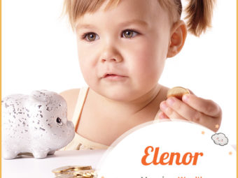 Elenor, wealth