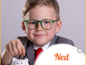 Ned, a name reflecting richness