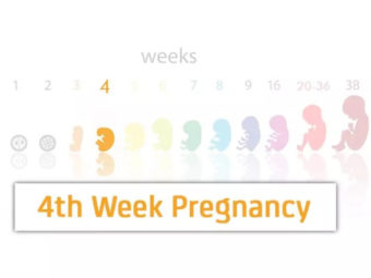第四周怀孕:症状、身体变化和注意事项